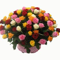 101 roses in a basket